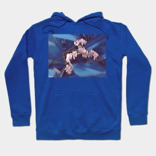 Orchid of Hawai’i Hoodie